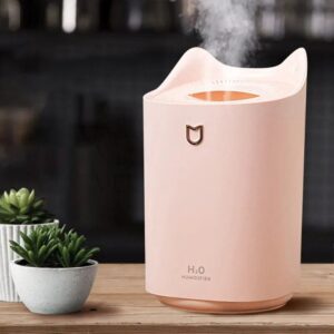 Ultrasonic Dual Jet Air Humidifier & Aroma Diffuser with Cool Mist