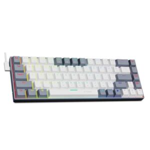 Compact RGB Mechanical Keyboard 68-Key - Multilingual Red Switch Gaming Keypad