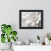 Framed Poster — White Floral Wall Art (Horizontal)