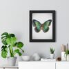 Framed Poster - Green Blue Butterfly Wall Art (Vertical)