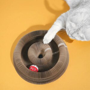 Interactive Cat Scratching Board and Toy