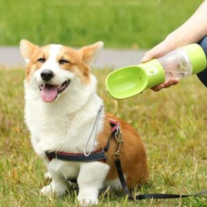 Portable Dog Water Bottle