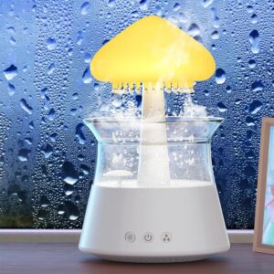 Rain Cloud 300ml Aroma Diffuser & Night Light Humidifier